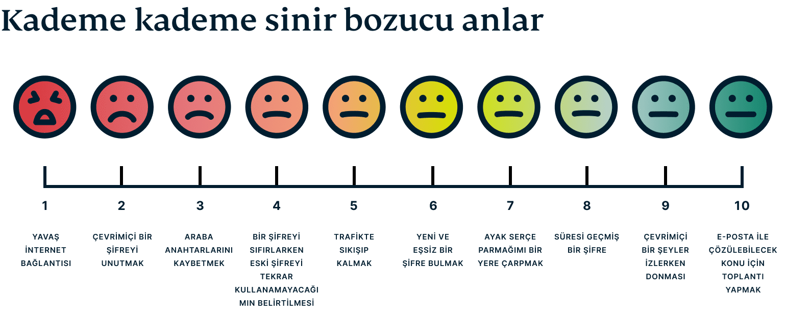 965607FB 4D5B 4C12 817D 48BD0851D4E2