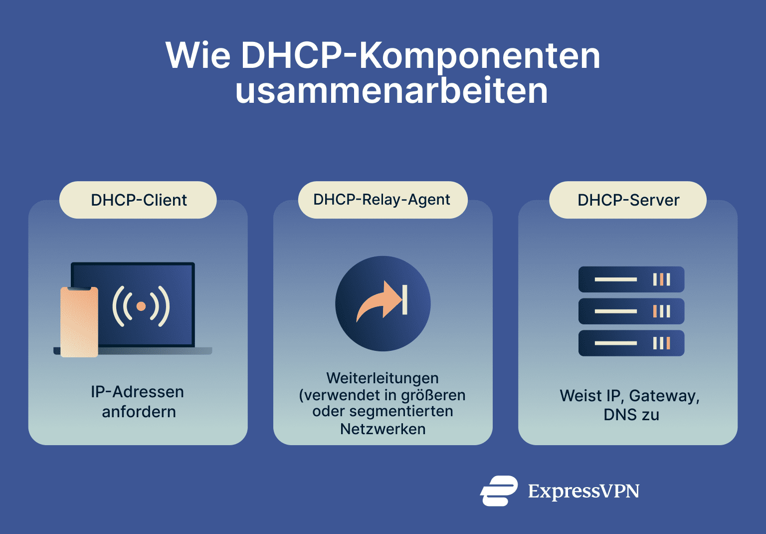 Infographic showing how DHCP components work.