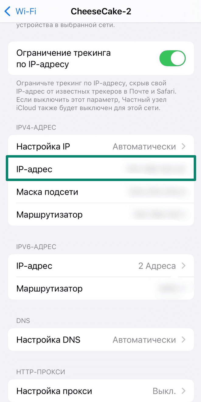 WiFi network options on iPhone with IP address and router info