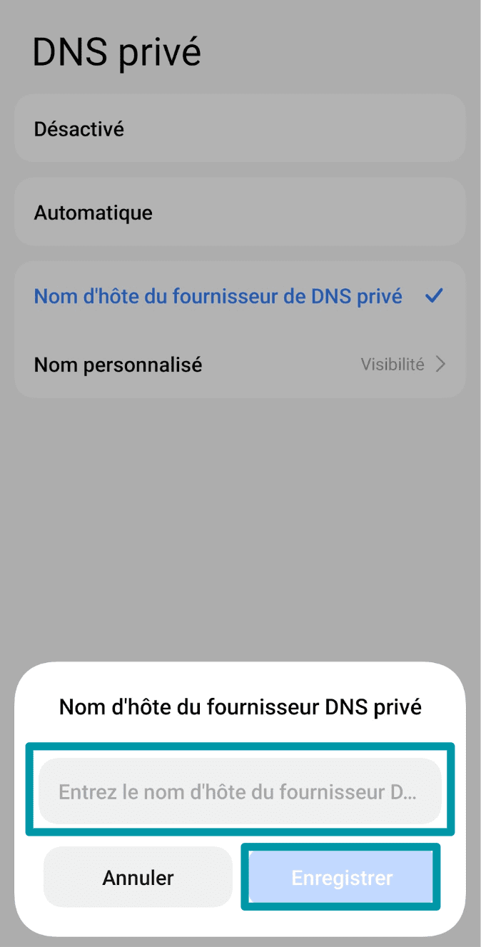 Enter The Dns Provider Settings Fr