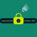 Passwort-Hashing erklärt: Was es ist und wie es funktioniert
