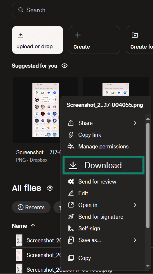Downloading a file locally from Dropbox.
