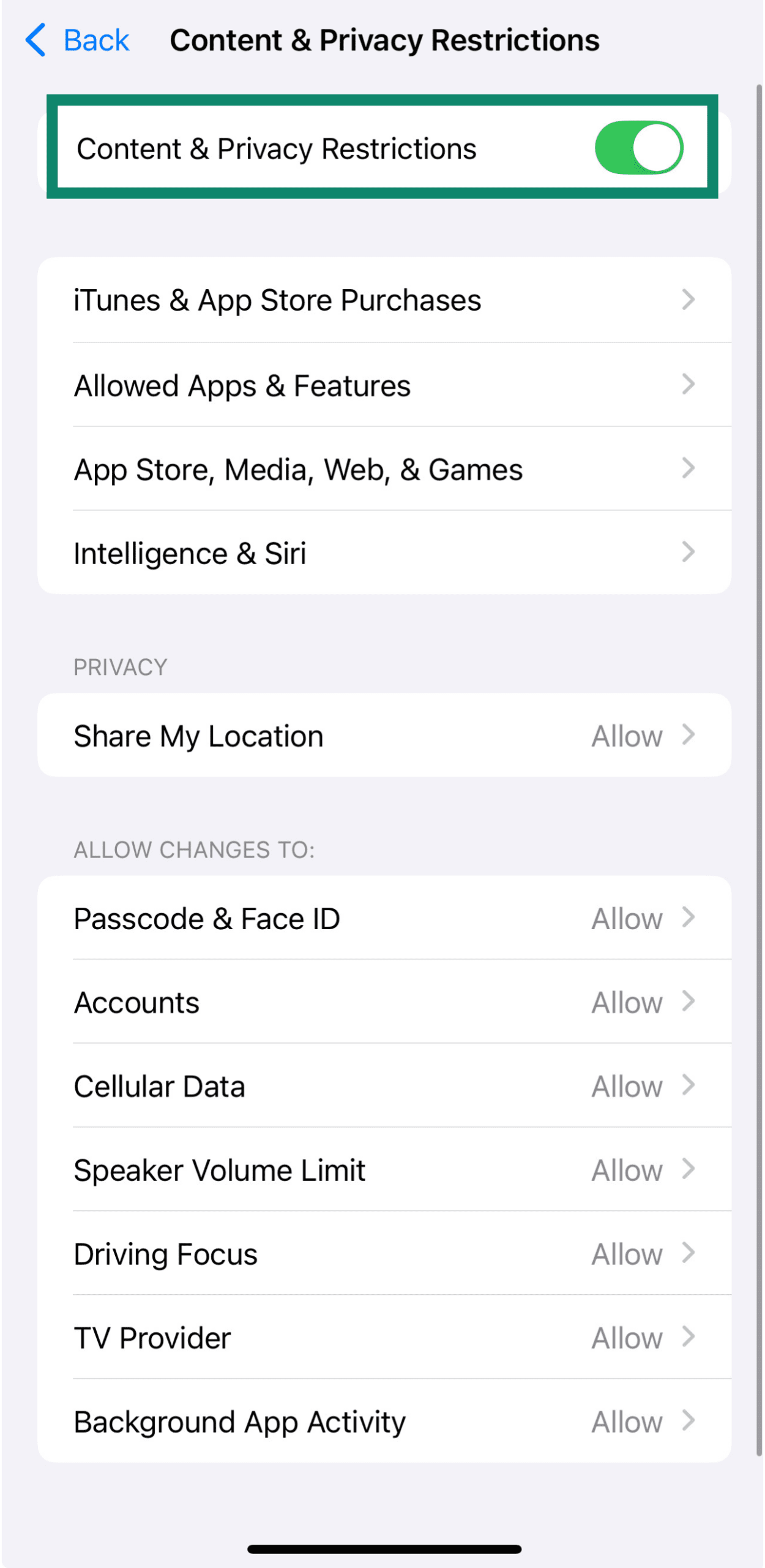 iOS screen showing Content & Privacy Restrictions toggled on.