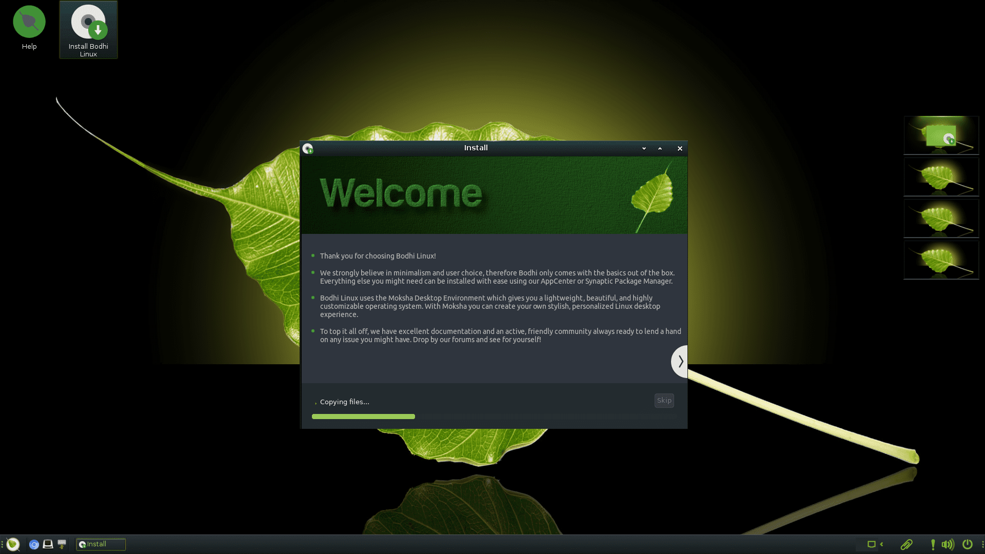 Bodhi Linux desktop background.