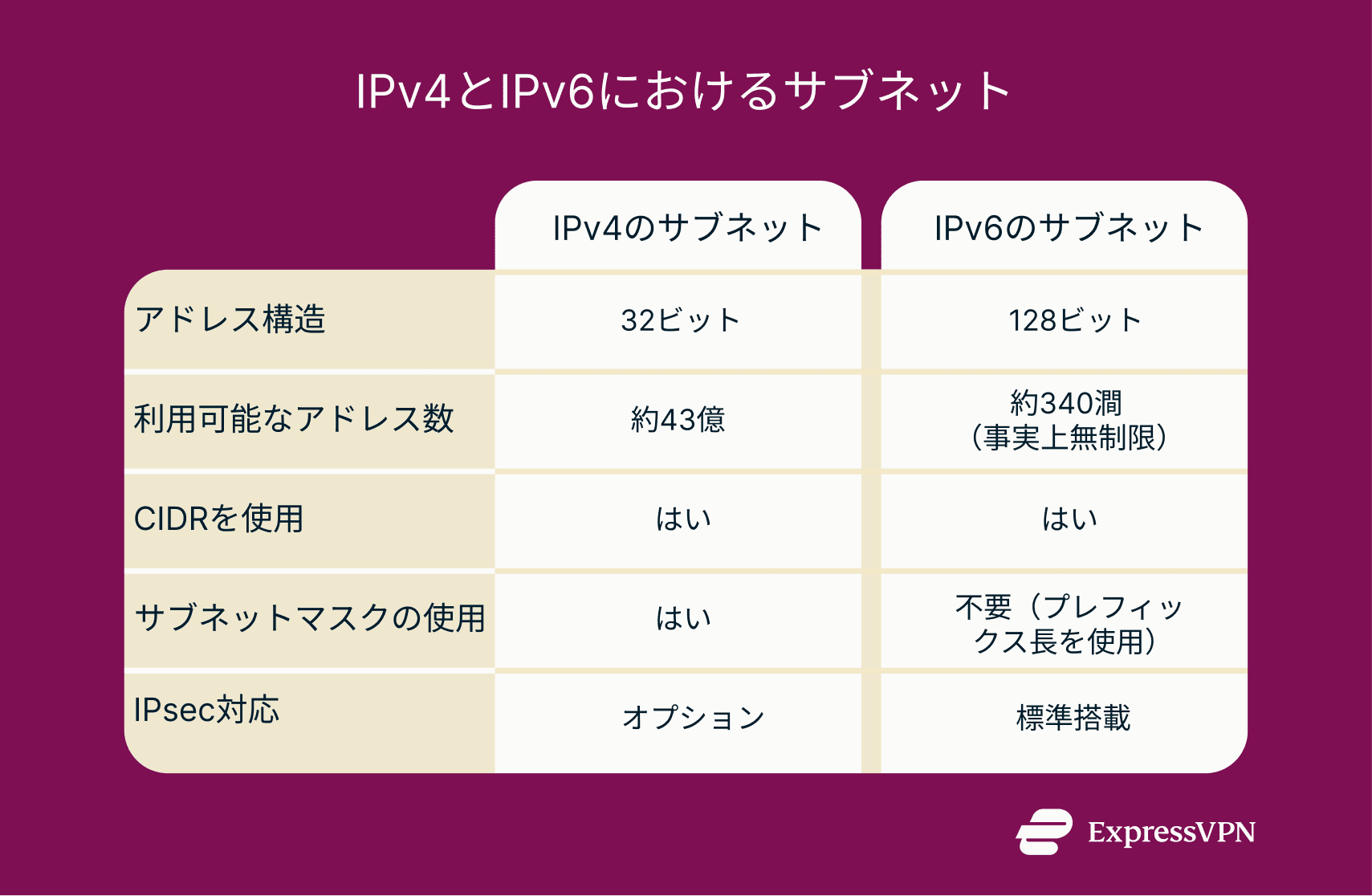 Infographic detailing how subnetting works in IPv4 and IPv6.