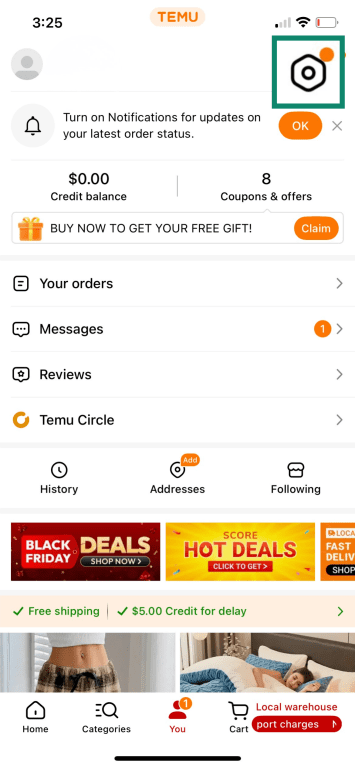 Temu app with Settings icon highlighted.