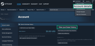 How to check purchase history on Steam.