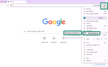 Manage Extensions settings in Google Chrome on desktop.