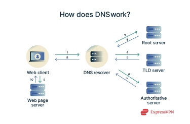 Diagram illustrating how DNS works: the user's device sends a query to a DNS resolver. The resolver contacts a root server, then a TLD server, and finally an authoritative DNS server to retrieve the correct IP address. The IP address is returned to the user's device, enabling it to connect to the website.
