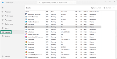 A Task Manager window showing a conhost.exe instance under the details tab