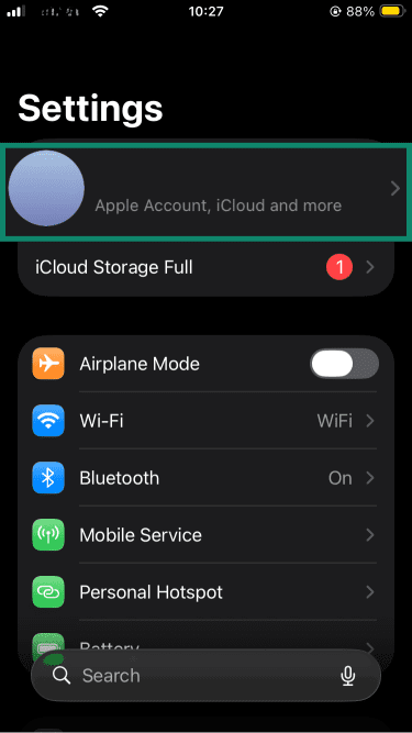 iOS settings menu.
