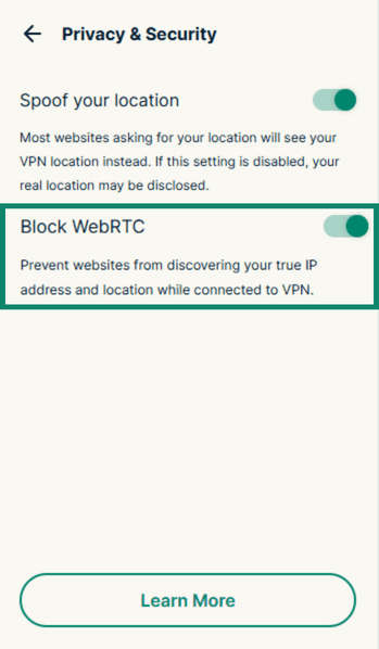 ExpressVPN Privacy & Security menu with the Block WebRTC option toggled on and highlighted