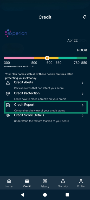 The Identity Defender Credit tab, highlighting the Credit Report option.