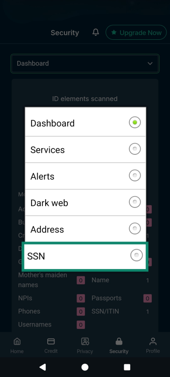 The Identity Defender dropdown menu, highlighting the SSN option.
